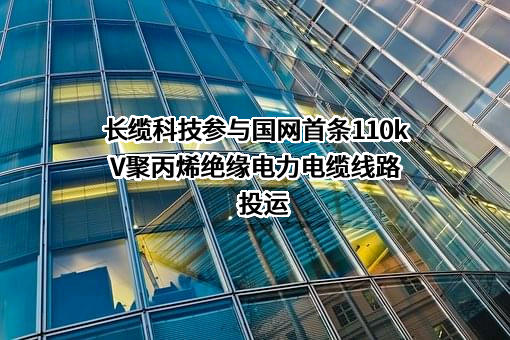 长缆电工科技股份有限公司