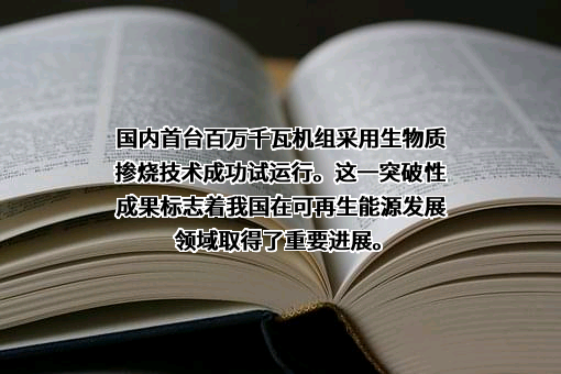 国家能源投资集团有限责任公司
