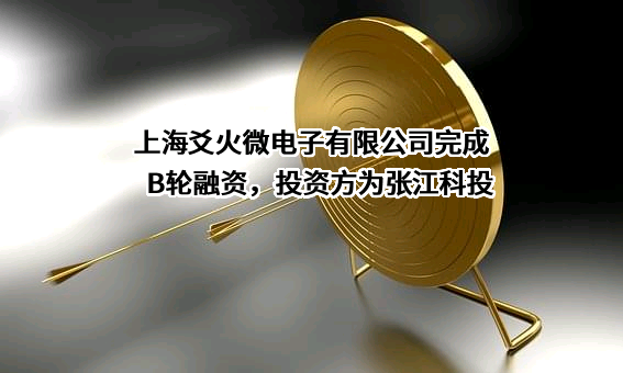 上海爻火微电子有限公司
