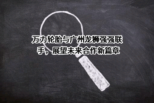 合肥万力轮胎有限公司