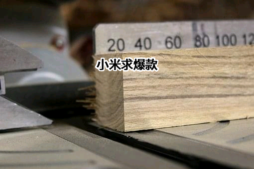 小米汽车有限公司