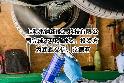 上海兆钠新能源科技有限公司