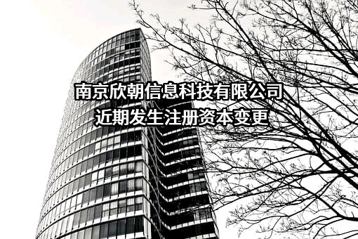 南京欣朝信息科技有限公司
