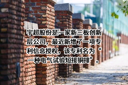 宇超电力股份有限公司