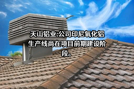 天山铝业集团股份有限公司