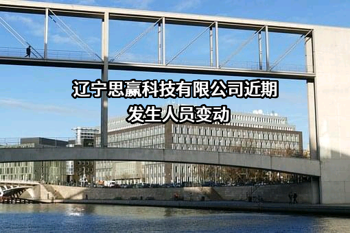 辽宁思赢科技有限公司