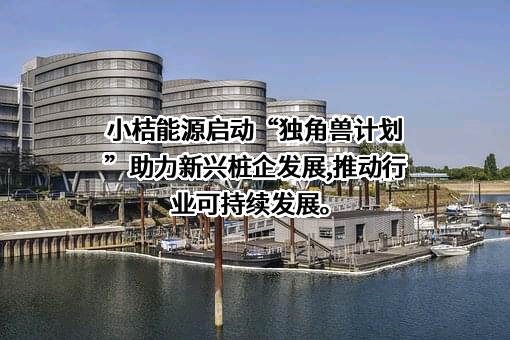 湖南小桔能源服务有限公司