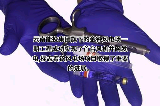 云南能源投资股份有限公司
