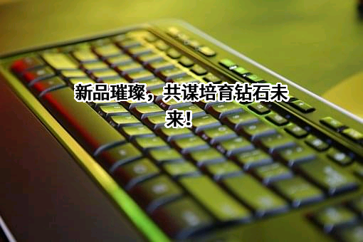 中南钻石有限公司