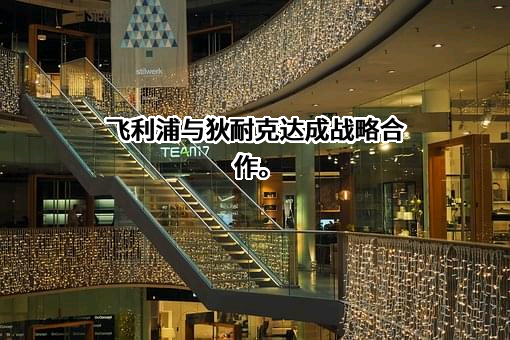 飞利浦（中国）投资有限公司