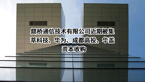鼎桥通信技术有限公司