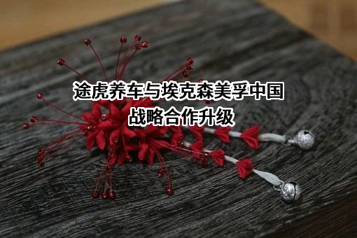 上海阑途信息技术有限公司