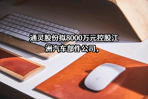江苏通灵电器股份有限公司