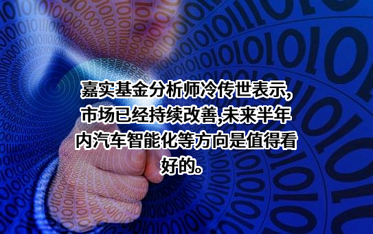 嘉实基金管理有限公司