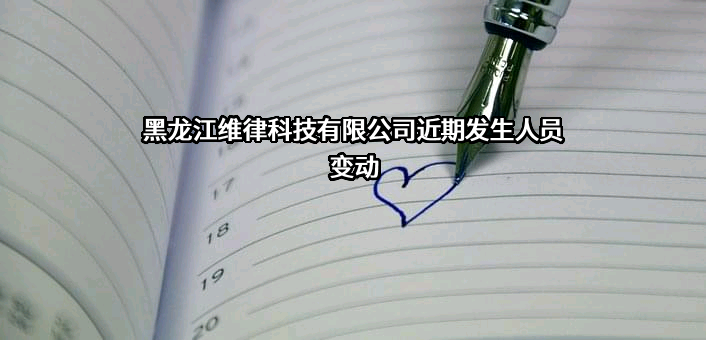 黑龙江维律科技有限公司