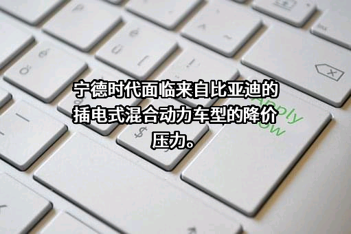 比亚迪股份有限公司