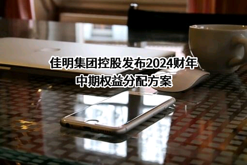 佳明集团控股有限公司