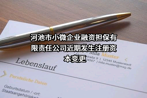 河池市小微企业融资担保有限责任公司