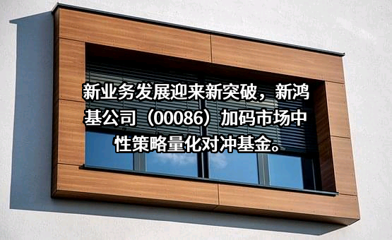 新鸿基有限公司