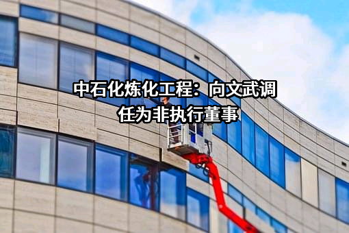 中石化炼化工程（集团）股份有限公司