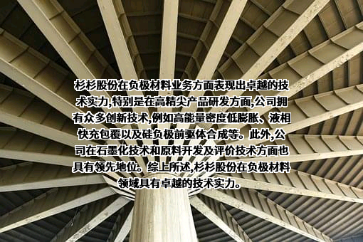 宁波杉杉股份有限公司