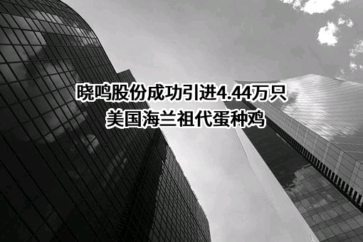 宁夏晓鸣农牧股份有限公司