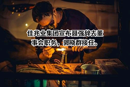 佳兆业集团（深圳）有限公司