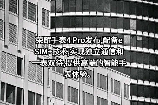 荣耀终端有限公司