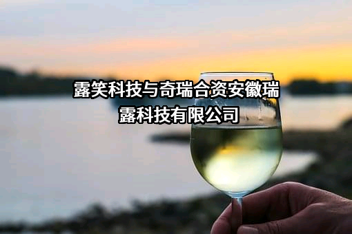 露笑科技股份有限公司