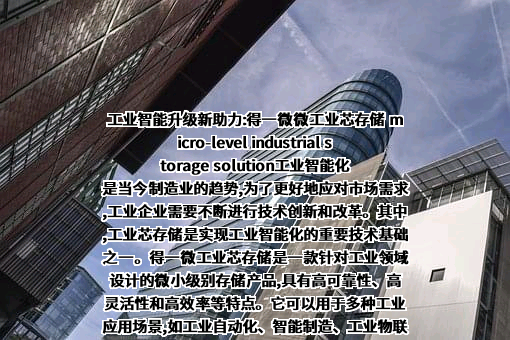 浙江得一微电子有限责任公司