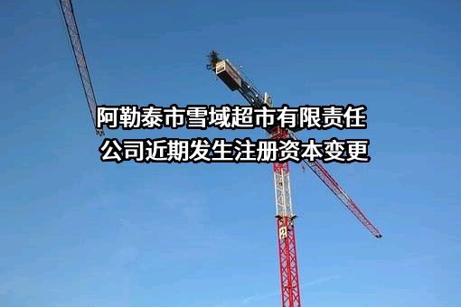 阿勒泰市雪域超市有限责任公司