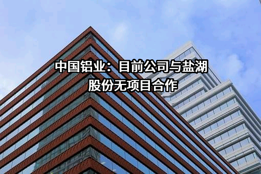 青海盐湖工业股份有限公司