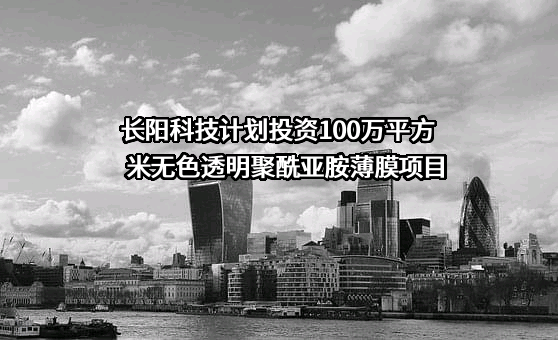 宁波长阳科技股份有限公司