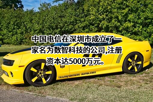 中国电信集团有限公司
