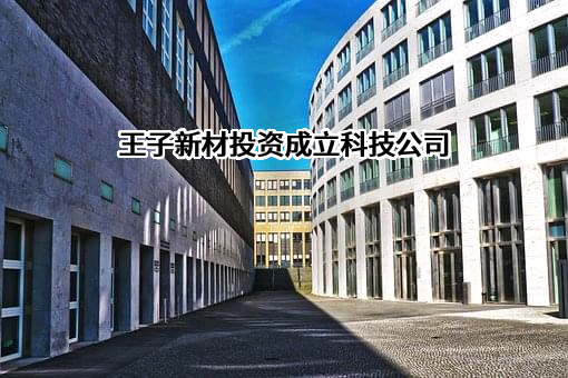 深圳王子新材料股份有限公司