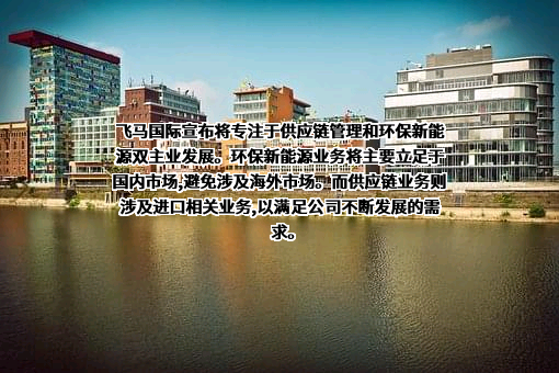 深圳市飞马国际供应链股份有限公司