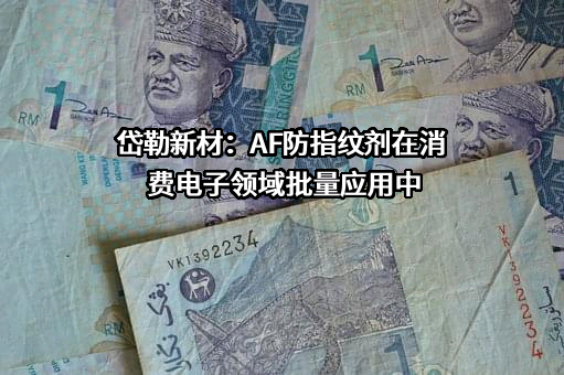 长沙岱勒新材料科技股份有限公司