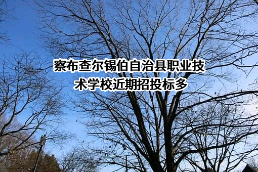 察布查尔锡伯自治县职业技术学校