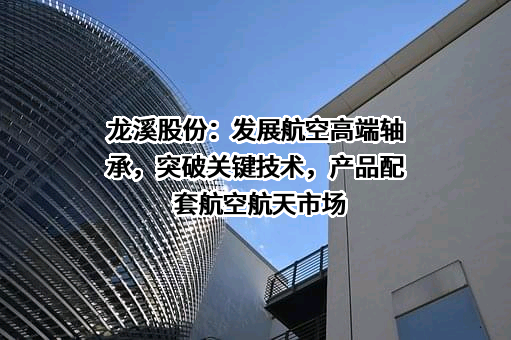 福建龙溪轴承（集团）股份有限公司