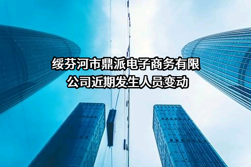绥芬河市鼎派电子商务有限公司
