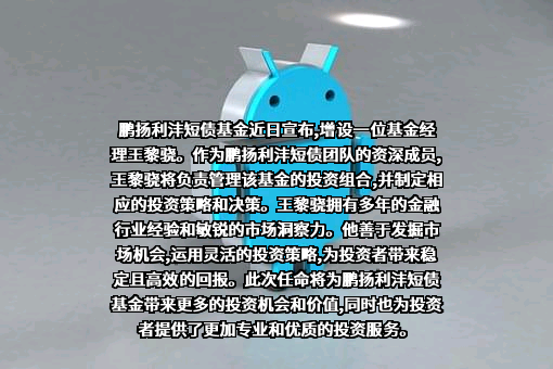 鹏扬基金管理有限公司