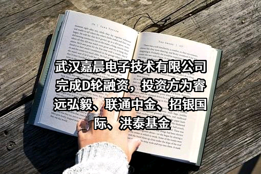 武汉嘉晨电子技术有限公司
