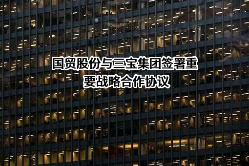 三宝集团股份有限公司