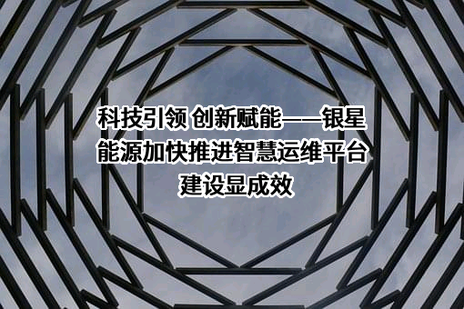 宁夏银星能源股份有限公司