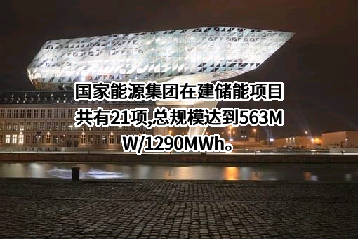 国家能源投资集团有限责任公司