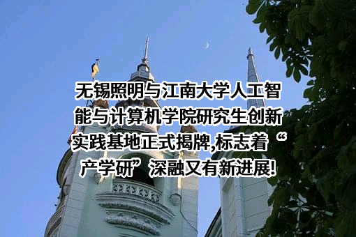 无锡照明股份有限公司