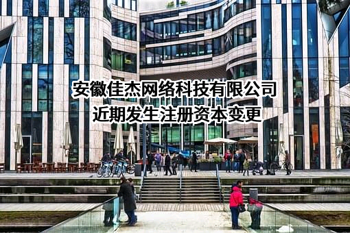 安徽佳杰网络科技有限公司