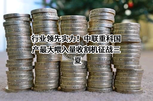 中联重科股份有限公司