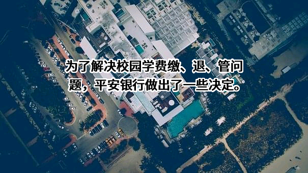 平安银行股份有限公司