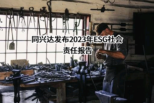 深圳同兴达科技股份有限公司
